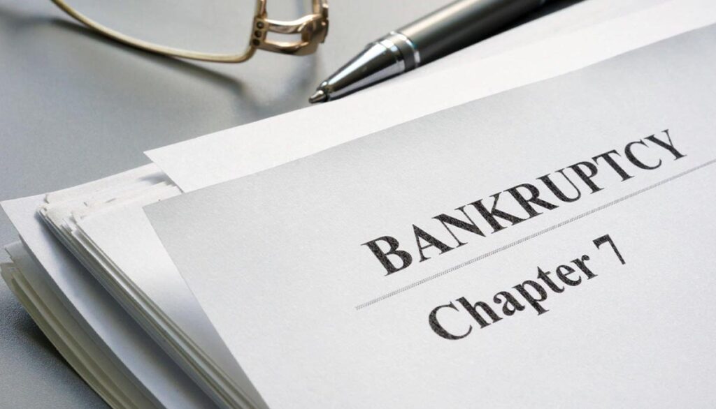 Chapter 7 Liquidation